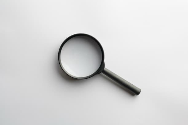 09. Exploring Career Pathways: Stay, Shift, or Reinvent?