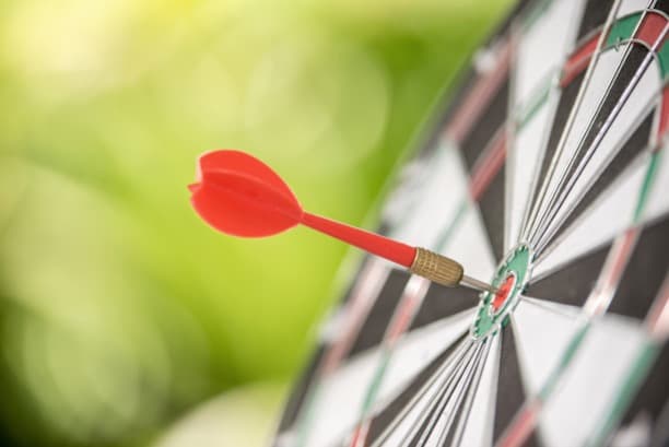 14. Identifying Target Roles and Organisations