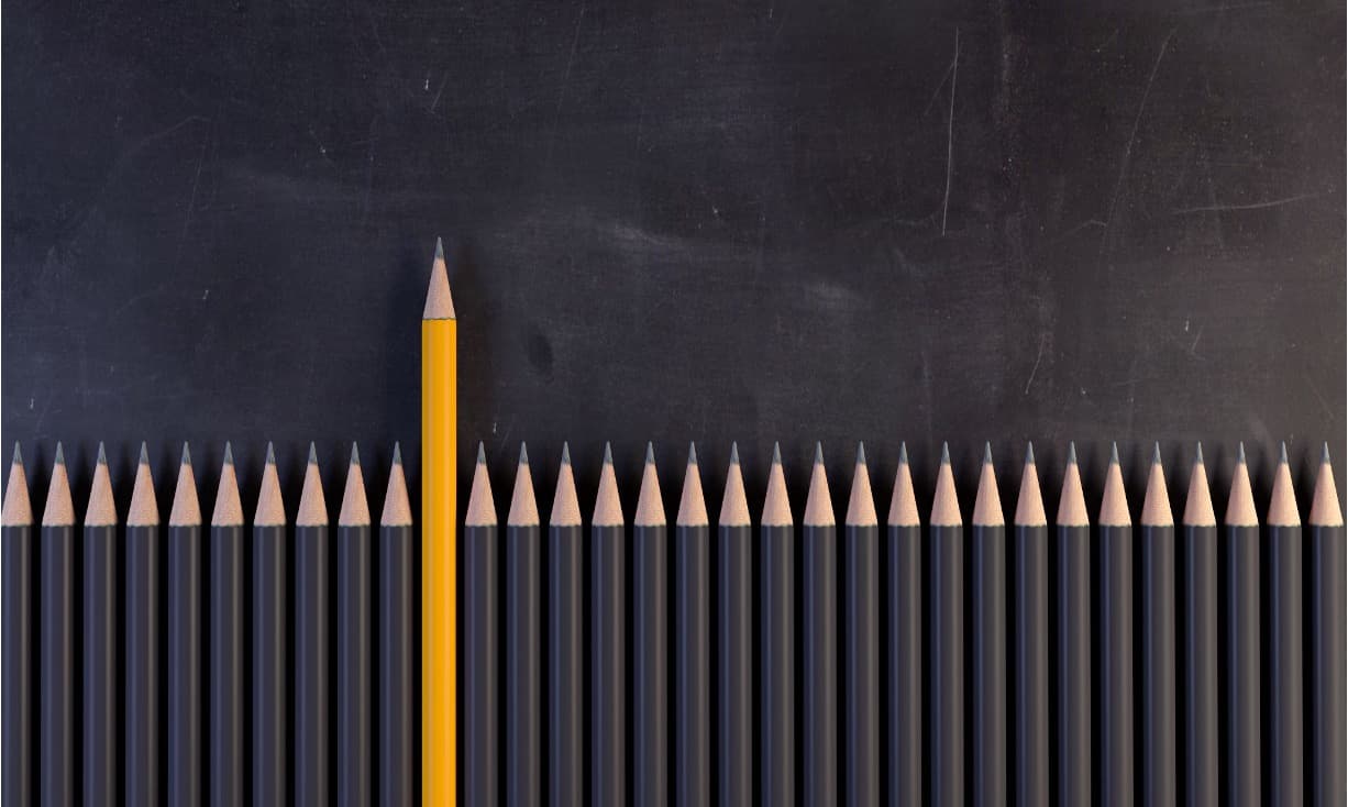 12. Translating Your Experience into Marketable Skills